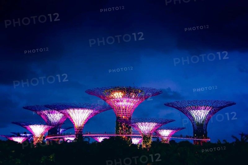 Singapore city, Singapore - april 15th, 2024: aerial view Super tree park at Marina Bay Sand. Gardens by the Bay famous landmark supertrees grove. solar cell technology