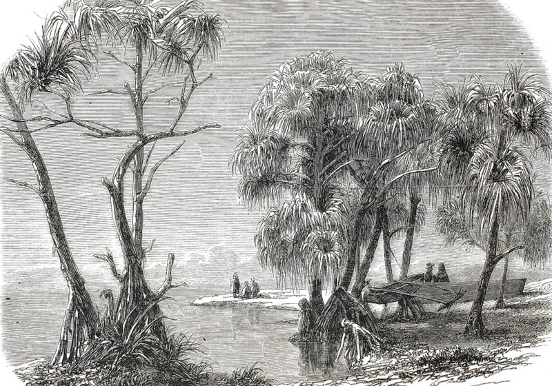 A landscape on the island of Tahiti in French Polynesia, circa 1860. In the foreground and centre, characteristic tropical trees with striking buttress roots – known as screw pines or pandanus – dominate the scene. On the right-hand bank, a traditional Polynesian outrigger canoe (pirogue) has been hauled ashore, an authentic, high-resolution reproduction of a 19th-century original, exact date of the depiction unknown, historical