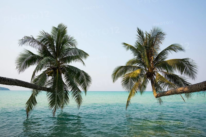 Sandy beach beach with coconut palms, Khlong Chao Beach, Koh Kood, Koh Kut, Gulf of Thailand, Thailand