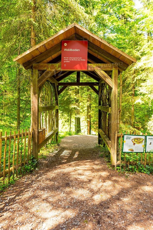 Wooden gate marks the entrance to a forest path in sunlight, Waldwelt Skywalk Allgäu, Scheidegg, Allgäu, Germany