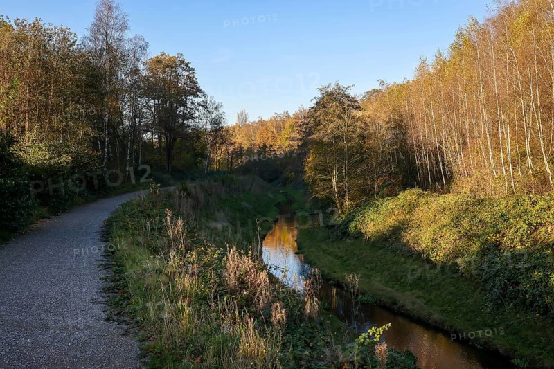 Bottrop, North Rhine-Westphalia, Germany - Renaturalised Boye in autumn, the tributary of the Emscher, was transformed into a near-natural watercourse, flood protection through newly designed flooding areas, the Boye is now free of wastewater after the construction of a parallel sewer, is part of the Emscher river system and thus part of the Emscher conversion, was previously an open, above-ground wastewater channel, mixed water channel with surface water and wastewater