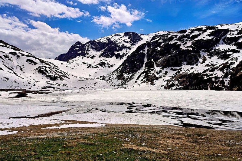 Ice floes drift in the half-frozen upper Murgsee, in the foreground, white flowering spring crocuses (Crocus vernus), Murg Valley, Canton of St. Gallen, Switzerland