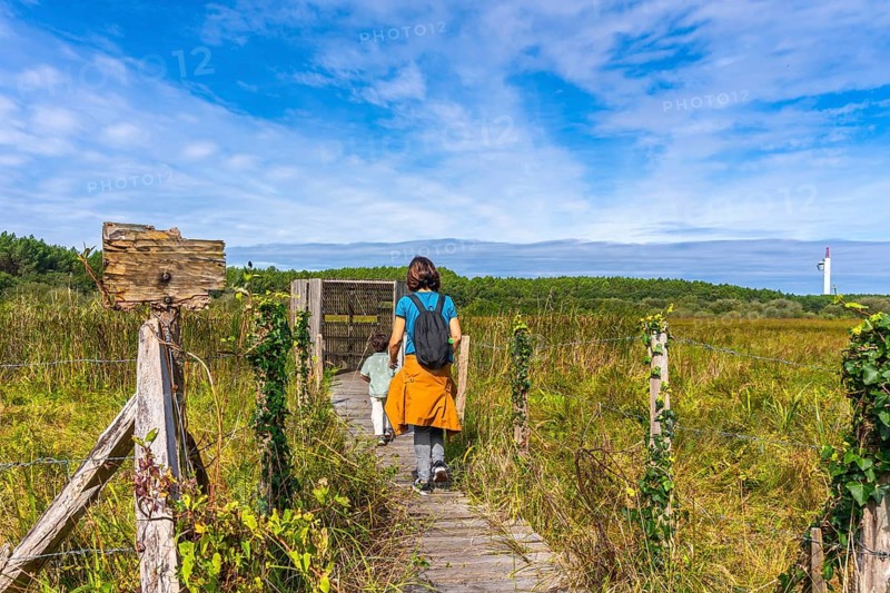 Mother and child walk along a wooden boardwalk through tall grasses toward a nature observation deck, enjoying outdoor leisure, exploration and peaceful countryside travel