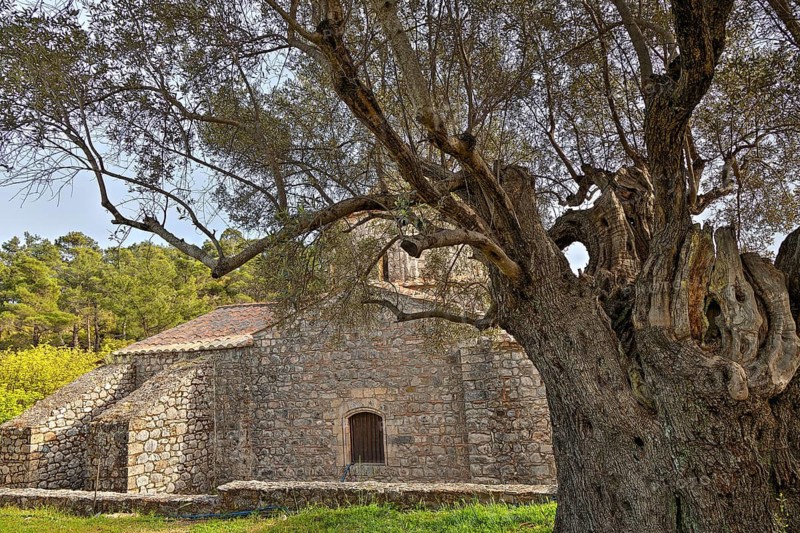 HDR, stone church behind a big tree, surrounded by nature and forest landscape, ancient olive tree, Monastery Thari, Moni Thari, near Gadouras reservoir, lonely mountain region, Rhodes, Dodecanese, Greek Islands, Greece
