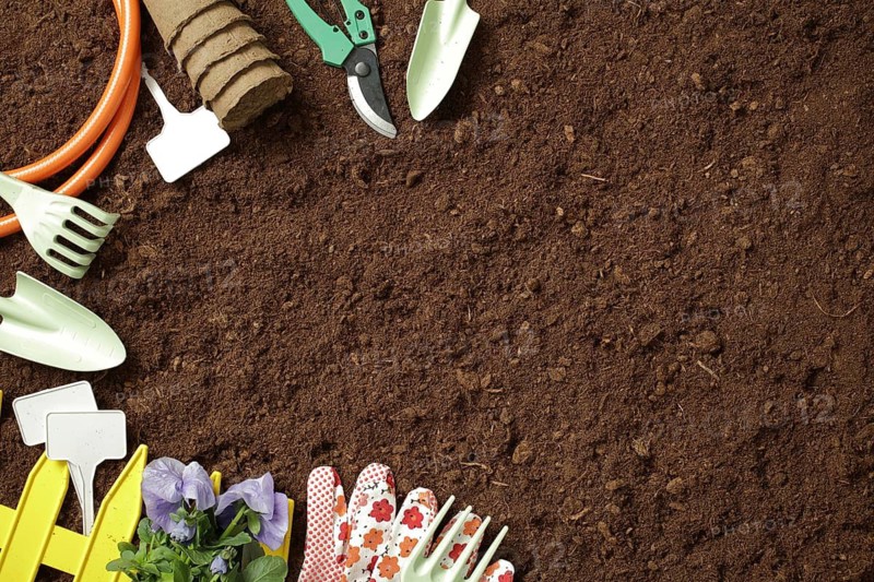 Various gardening tools, gloves, and a flowers are arranged on rich soil, ready for spring planting. The image conveys preparation and the promise of a thriving garden