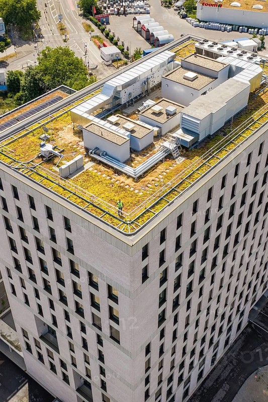 Roof of a modern high-rise building with green infrastructure and urban environment, Boarding House of Klinikverbund Südwest, Böblingen, Germany