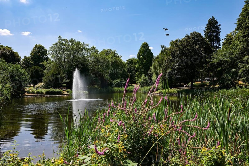 Essen, North Rhine-Westphalia, Germany - City garden with lake and fountain. Stadtgarten Essen is Essen's oldest publicly accessible green space. It is located south of Essen Central Station in the Südviertel district, between the Aalto Theatre, the Philharmonic and the neighboring Rüttenscheid district. Parks and gardens in the Ruhr area