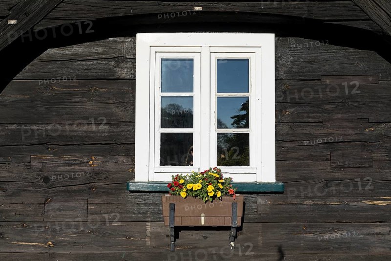 White window with planted flower box, wooden house in Erlichthof Rietschen, Saxony, Germany