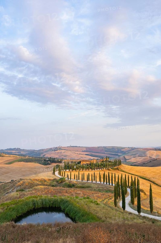 Typical Tuscan landscape in Crete Senesi with hills, trees, fields, cypresses and farm road in autumn, sunrise, Agriturismo Baccoleno, UNESCO World Heritage Site, Siena Province, Tuscany, Italy