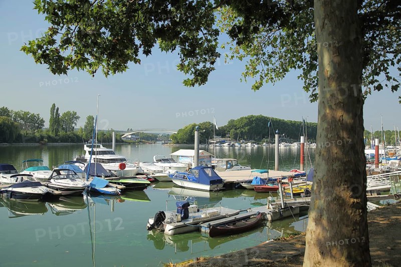 Schiersteiner Hafen, pier for boats, marina, banks of the Rhine, Schierstein, Wiesbaden, Taunus, Hesse, Germany