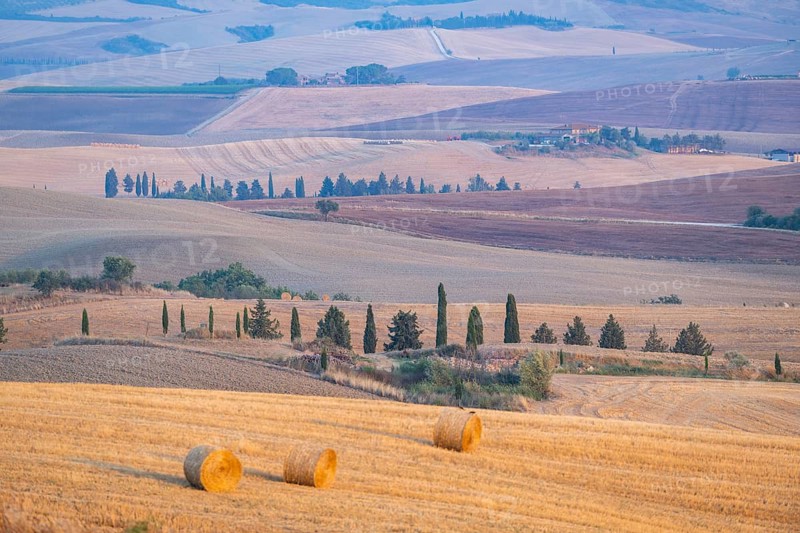 Typical Tuscan landscape in Val d'Orcia with hills, trees, fields, cypresses and farm road in autumn, sunset, gladiator film location, San Quirico d'Orcia, Val d'Orcia, Orcia Valley, UNESCO World Heritage Site, Siena Province, Tuscany, Italy