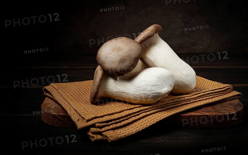 Fresh eringi mushrooms, raw, royal oyster mushrooms, three pieces, Asian cuisine, no people