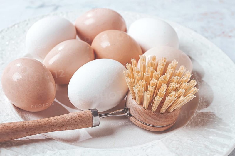 The concept of health care, the fight against salmaniasis, washed chicken eggs, on a white plate, next to a washing brush