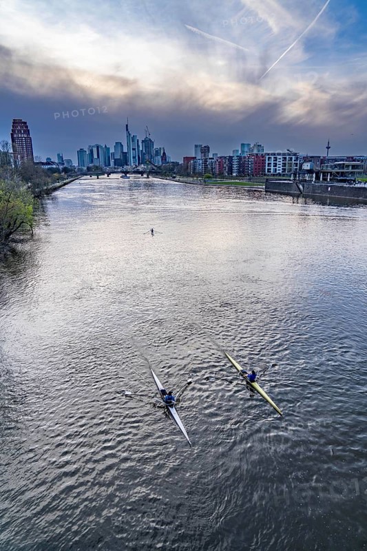 Skyline of Frankfurt am Main, skyscrapers, business and banking district in the city centre, rowing boats on the Main, Hesse, Germany