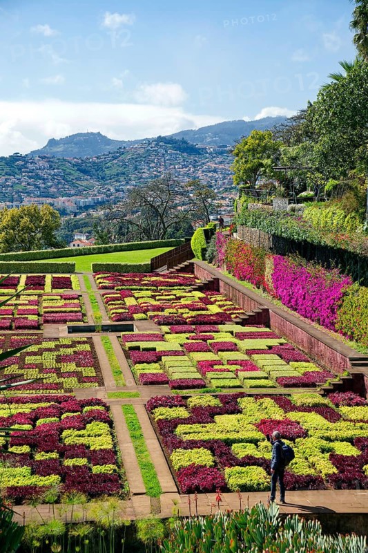 Flowerbeds planted as a pattern, Botanical Garden, Jardim Botanico, Funchal, Madeira, Portugal