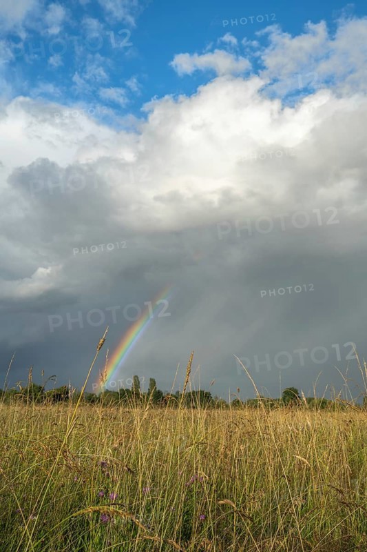 A rainbow appears in the cloudy sky over a field and bears witness to the traces of the recent storm in the countryside. Bas-Rhin, Alsace, France