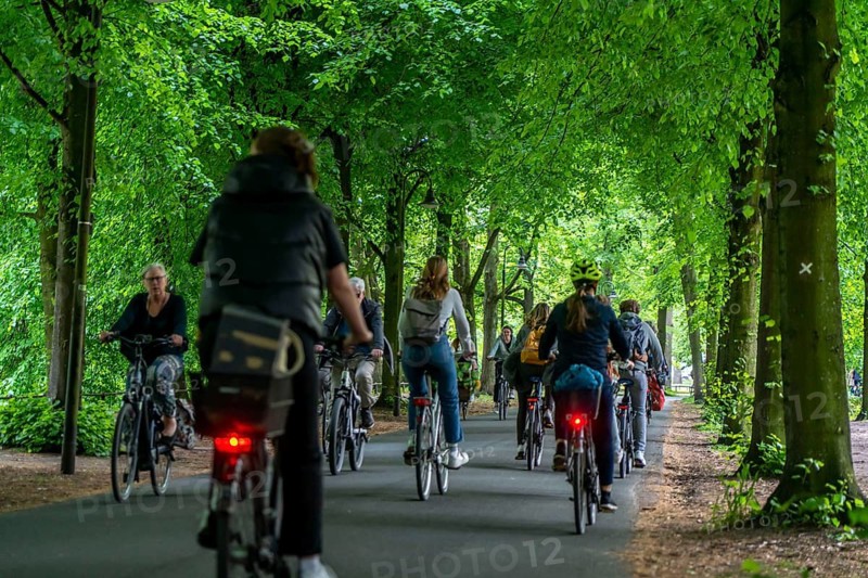Promenade cycle path, tree-lined, car-free, approximately 4.5 km long ring road around the city centre of Münster, North Rhine-Westphalia, Germany