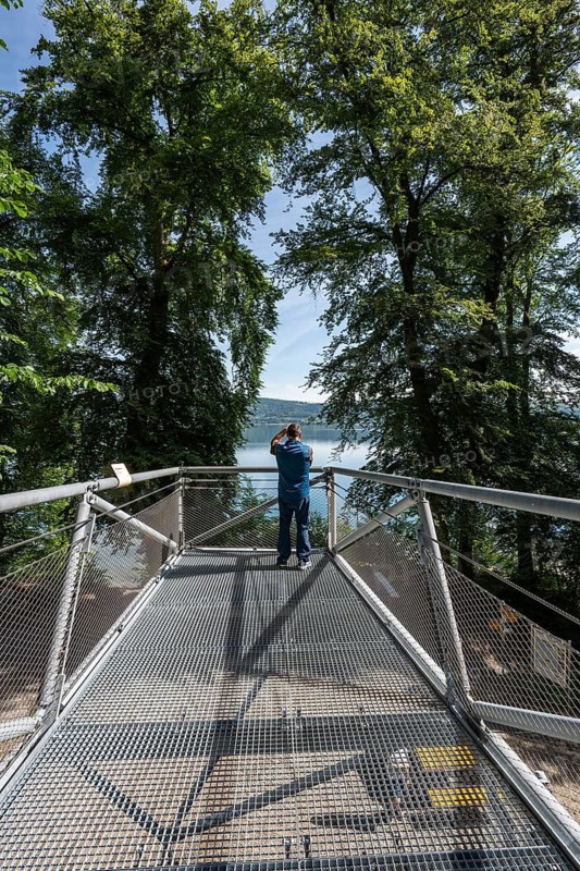 Viewing platform of the Marienschlucht, which was newly opened in 2026. The new panoramic walkway, a new tourist attraction on Lake Constance, consisting of a steel structure weighing a total of 90 tons, runs down to the lakeside, Langenrain, Allensbach, Konstanz district, Baden-Württemberg, Germany