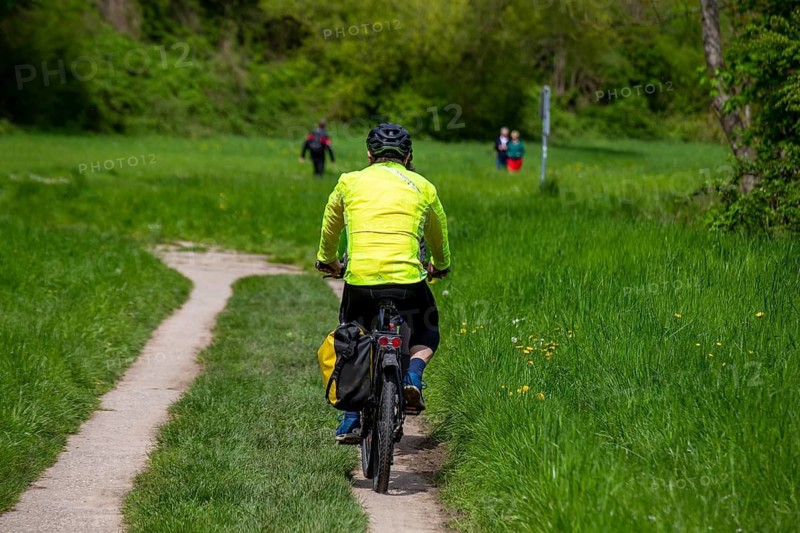 Neckartal-Odenwald nature park Park: Cyclists travelling between forests and meadows on the Neckar cycle path near Neckarsteinach