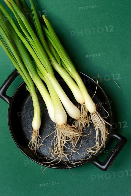 Spring onions on pan, onion
