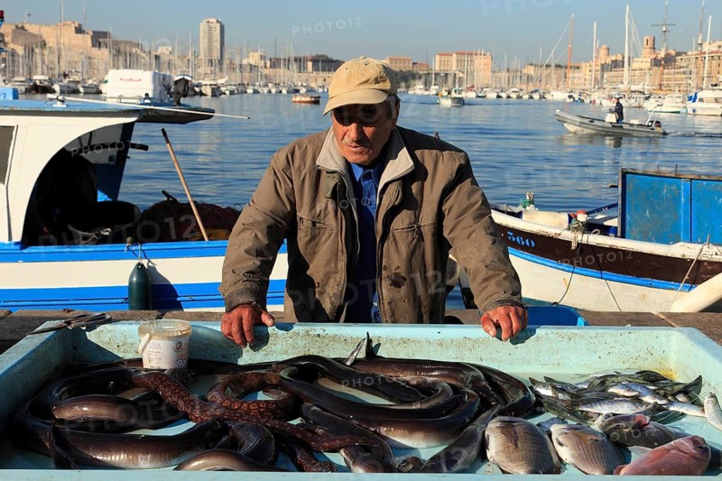 Vieux Port, fish market on Quai des Belges, Marseille, Bouches-du-Rhone, Provence, France