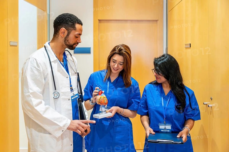 Healthcare team members, including a doctor and two nurses in scrubs, are collaborating while examining a human heart anatomical model in a hospital or clinic hallway