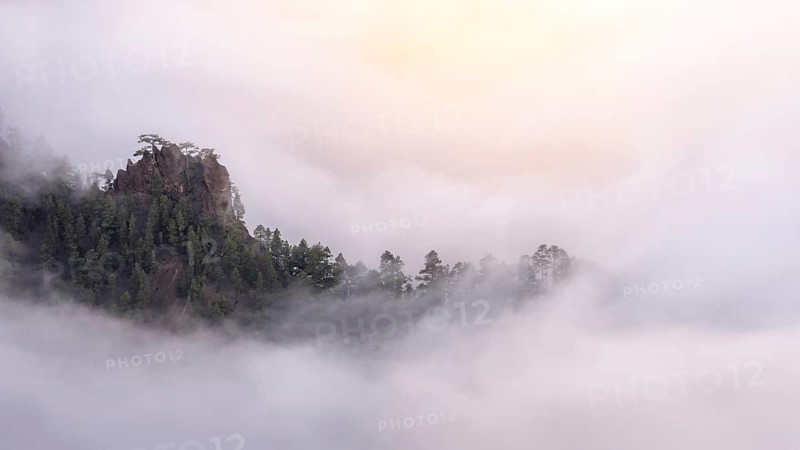 Evening clouds move into the Caldera de Taburiente and form a sea of fog. La Palma, Canary Islands, Spain