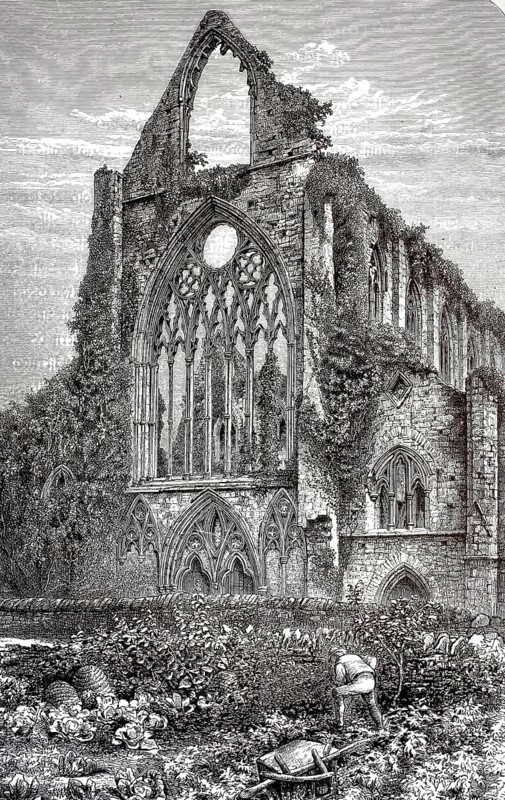 West side of Tintern Abbey, Abaty Tyndyrn, monastery ruin in the Welsh Wye Valley near the village of Tintern. The abbey was founded by the Cistercians in 1131. It was the first Cistercian monastery in Wales, illustration, reproduction from a 19th-century model. Authentic, file restored for optimal use, exact date of submission unknown, historical