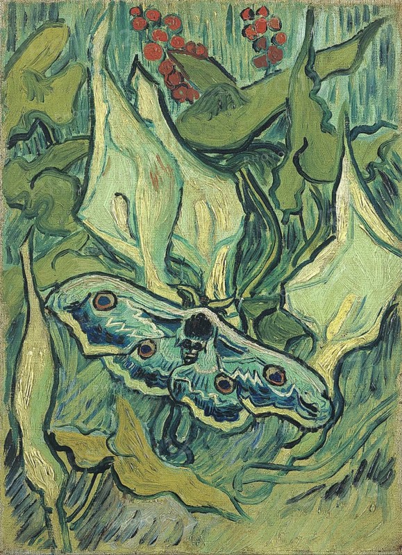 Saturnia pyri on Arum (1889), Painting by Vincent Willem van Gogh (born 30 March 1853 in Groot-Zundert, died 29 July 1890 in Auvers-sur-Oise), Dutch painter and draughtsman, one of the founders of modern painting, Illustration, Reproduction from a painting. Authentic, exact date of the original unknown, Historical, A detailed painting of a moth on flowers, colourful and true to nature