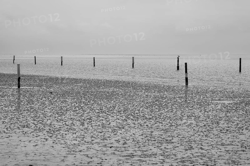 Post in the Wadden Sea National Park, low tide, Norddeich, Norden, East Frisia, Lower Saxony, Germany