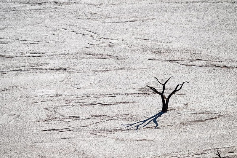 Dead trees, Dead Vlei, Sossusvlei, Namib, Namib Desert, Namibia