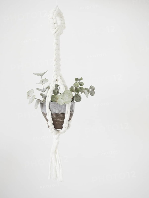 Macrame plant hanger with small branches of dried eucalyptus leaves in gray and brown ceramic pot. Minimal home decoration