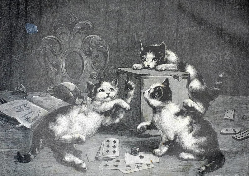Three young, playful kittens in a home environment. A kitten lies on the floor on the left and reaches up, a second sits in front of it on the right, while a third looks down from above on a wooden box or a small cupboard. Scattered playing cards, a cube and dominoes can be seen in the foreground. On the left side is an opened picture book with animal illustrations and a small ball with a bow, authentic, high-resolution reproduction of a 19th century original, exact date of presentation unknown, historical