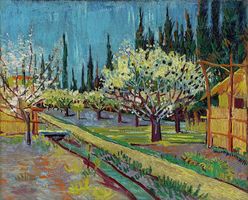 Orchard Bordered by Cypresses (1888), Orchard surrounded by cypresses (1888), painting by Vincent Willem van Gogh (born 30 March 1853 in Groot-Zundert, died 29 July 1890 in Auvers-sur-Oise), Dutch painter and draughtsman, one of the founders of modern painting, illustration, reproduction of a painting. Authentic, exact date of the original unknown, Historical