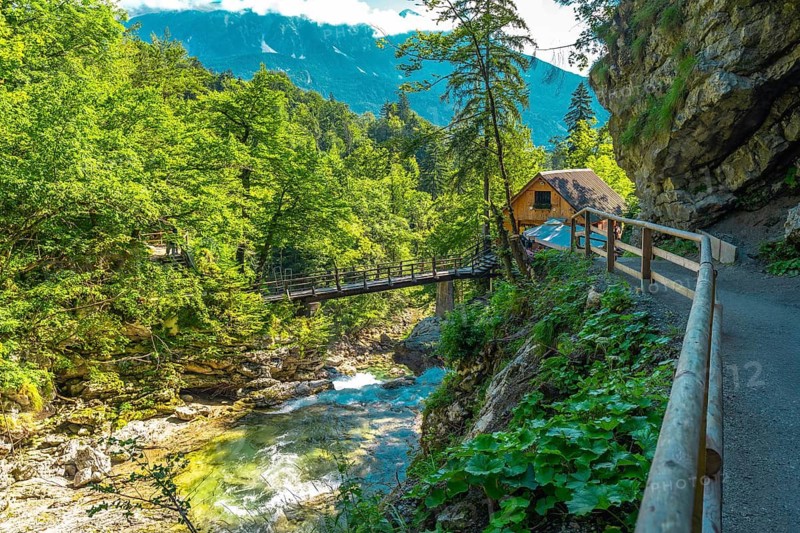 Breathtaking scenery of vintgar gorge with wooden bridge crossing the radovna river near bled, slovenia, in summer