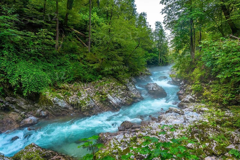 Turquoise water of radovna river flowing through the scenic vintgar gorge near bled in slovenia