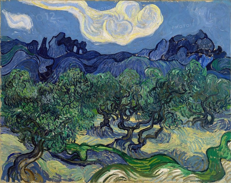 The Olive Trees (1889), Painting by Vincent Willem van Gogh (born 30 March 1853 in Groot-Zundert, died 29 July 1890 in Auvers-sur-Oise), Dutch painter and draughtsman, one of the founders of modern painting, Illustration, Reproduction from a painting. Authentic, exact date of original unknown, Historical, Expressionist depiction of a landscape with lively olive trees and dramatic sky