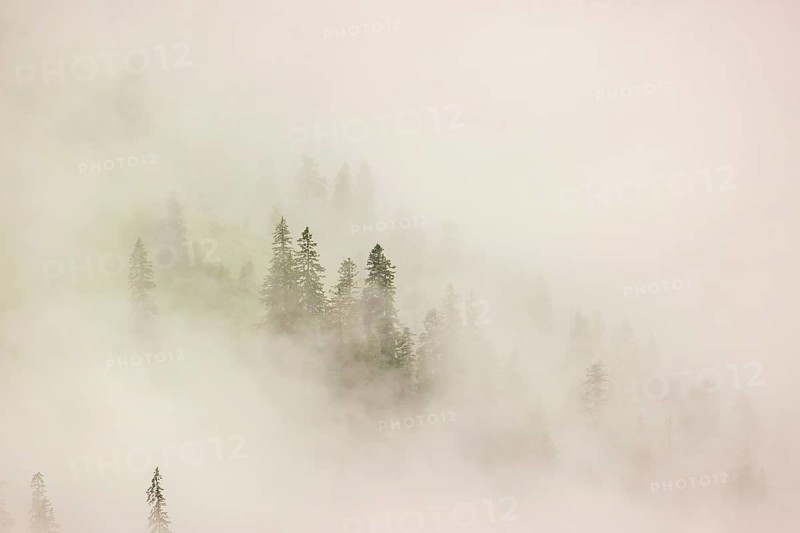Wisps of mist cover the Karwendel mountains in the Großer Ahornboden nature reserve, Eng Valley, Tyrol, Austria