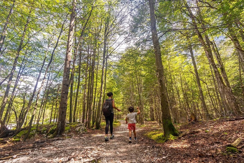 Mother and son enjoying a hike through the lush forest trails of logarska dolina valley in slovenia during a sunny summer day
