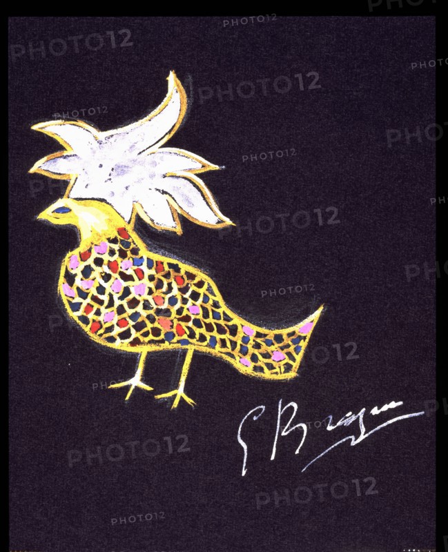 Braque, Phoenix