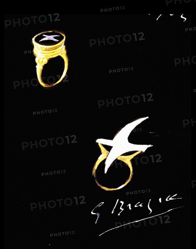 Braque, Projets de bagues