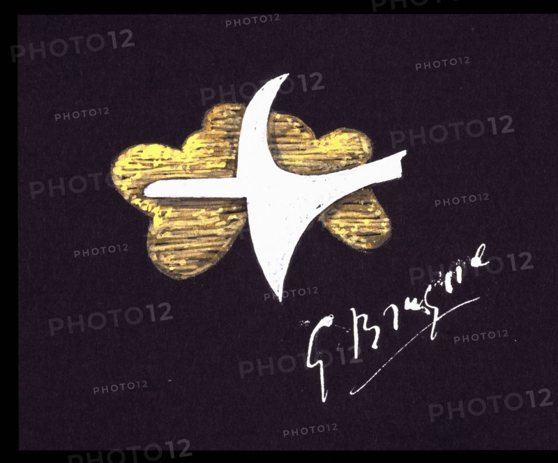 Braque, Projet de bijou