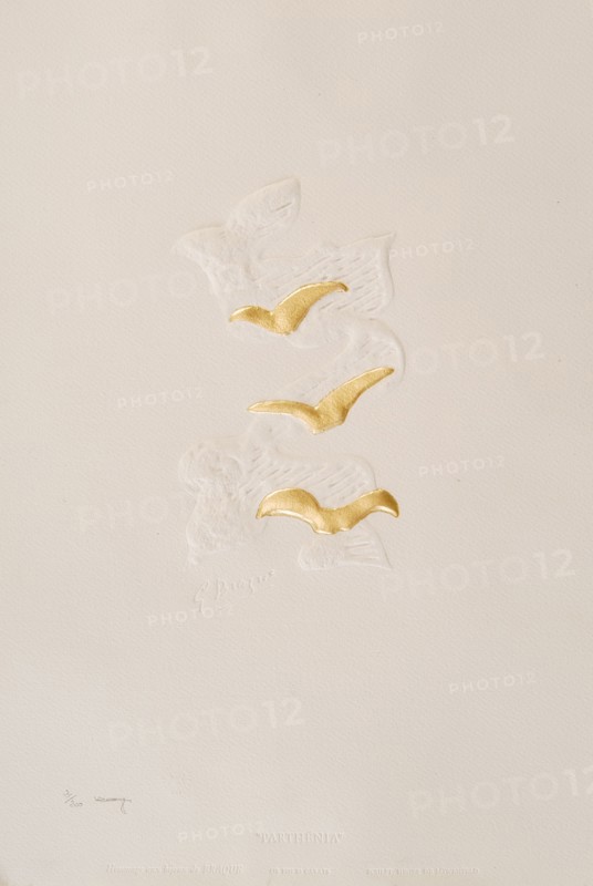Braque, Parthénia