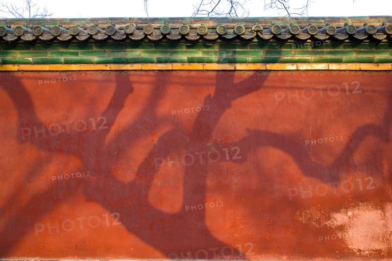 the Forbidden City,Forbidden City,Beijing