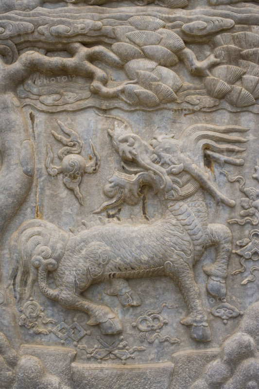 vehicleving Dragon of Western Imperial Tombs of the Qing Dynasty
