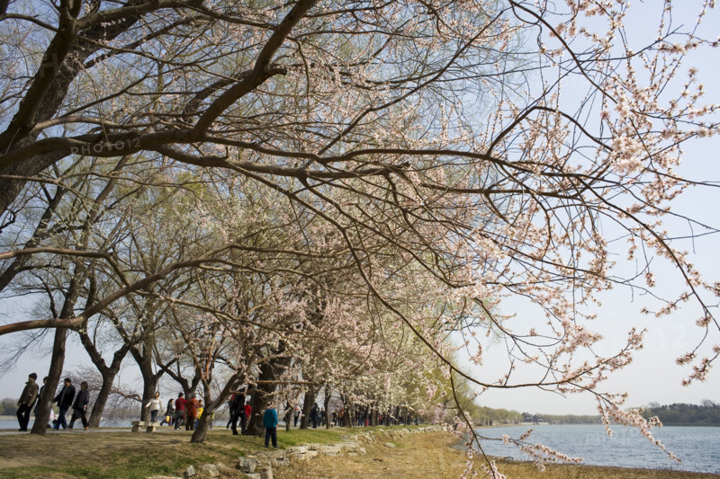The Summer Palace,Beijing