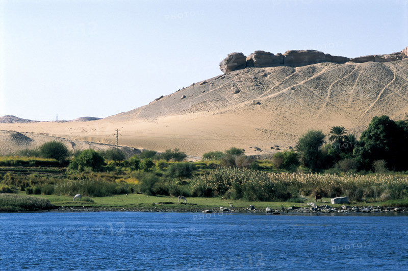 Egypt