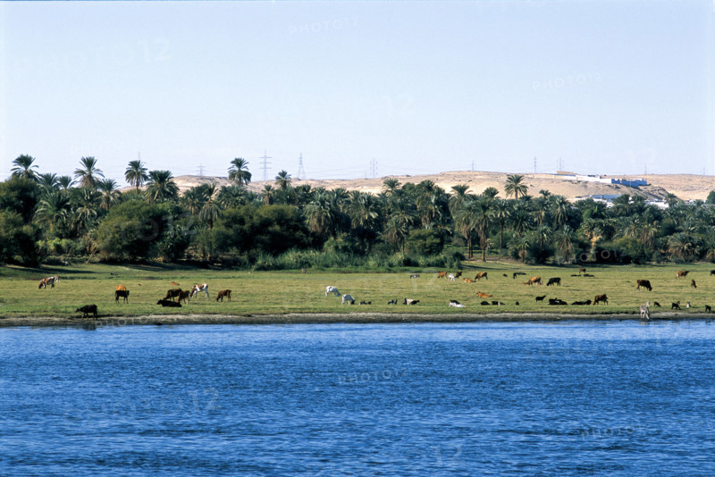 Egypt