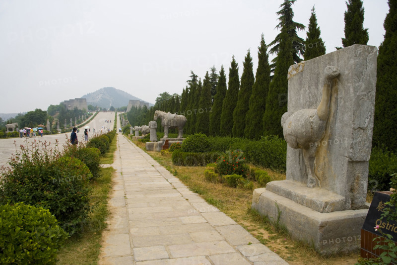 The Qian Tomb,Xi'an