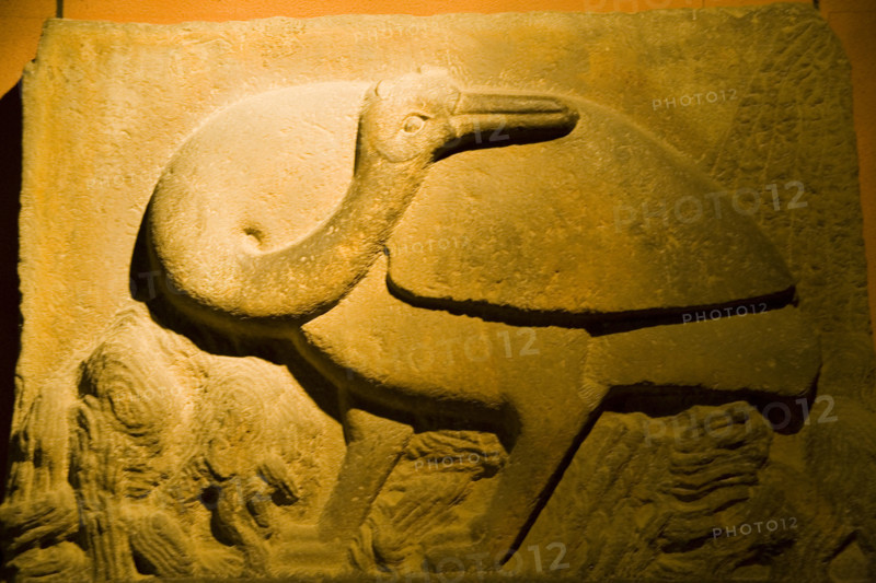 vehicleving Eight Fiery Horses excavated from Emperor Taizong's Tomb,Xi'an